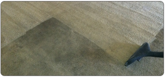 Carpet Cleaning