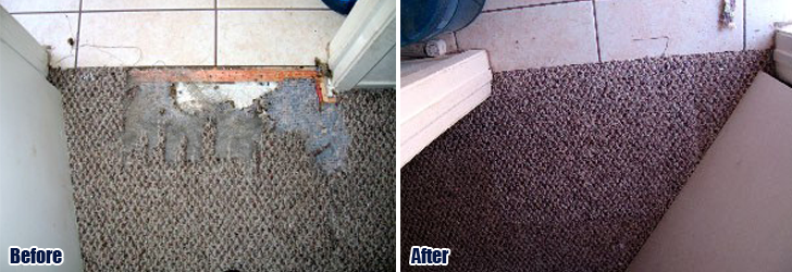 Carpet Repair Northridge CA